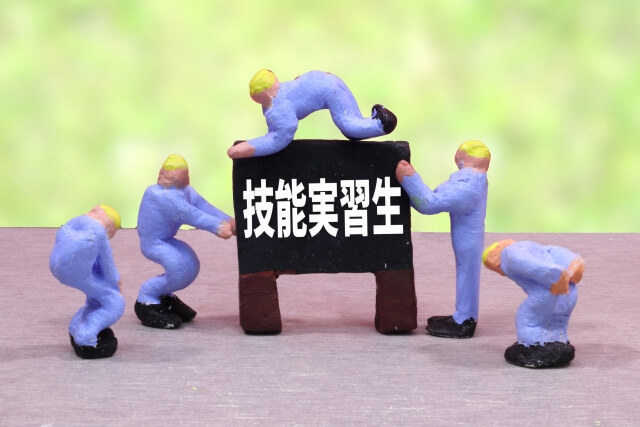 特定技能や技能実習など、在留資格ごとの個別要件について